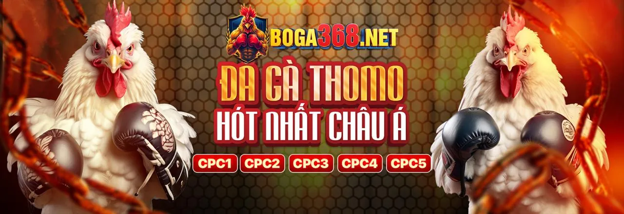 Nền tảng top game bài online uy tín